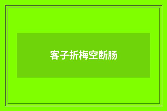 客子折梅空断肠