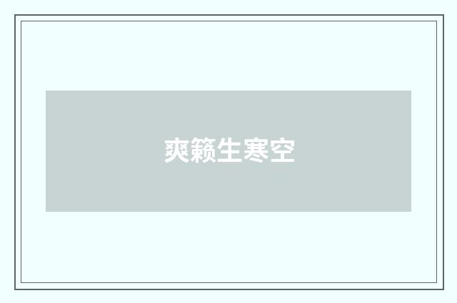 爽籁生寒空