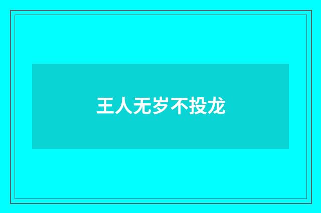 王人无岁不投龙
