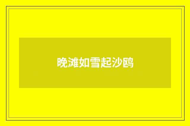 晚滩如雪起沙鸥
