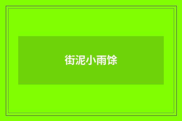 街泥小雨馀