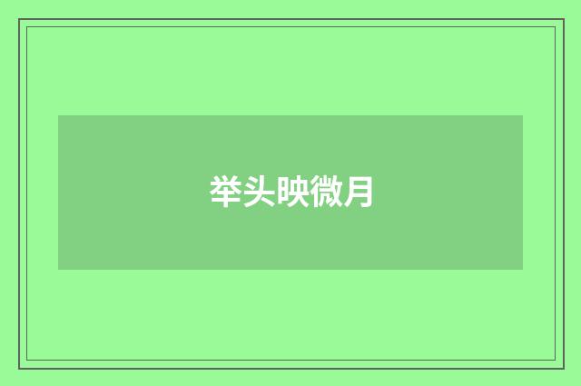 举头映微月
