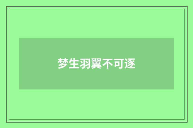 梦生羽翼不可逐