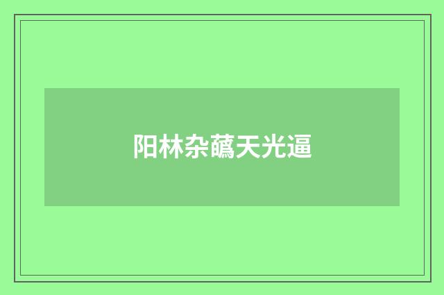 阳林杂蘤天光逼