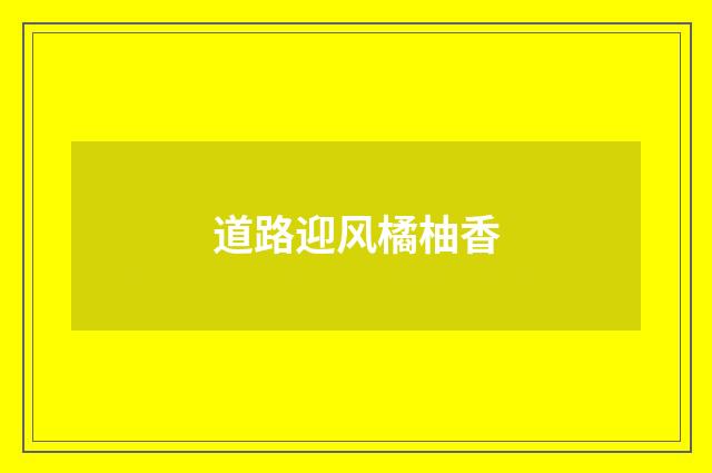 道路迎风橘柚香