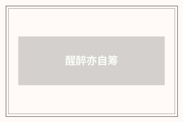 醒醉亦自筹