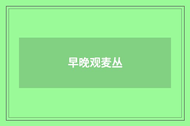 早晚观麦丛