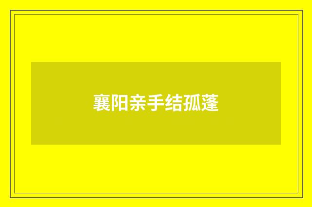 襄阳亲手结孤蓬