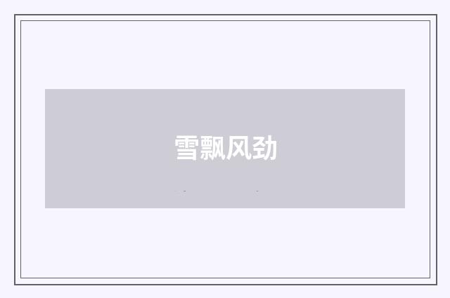 雪飘风劲