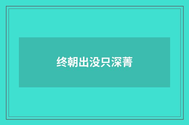 终朝出没只深菁
