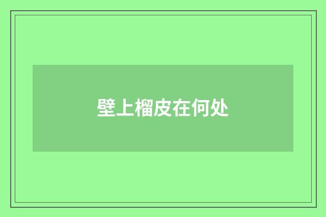 壁上榴皮在何处
