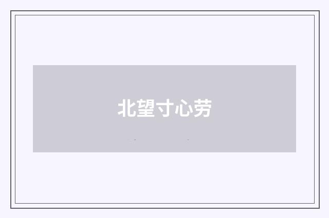 北望寸心劳