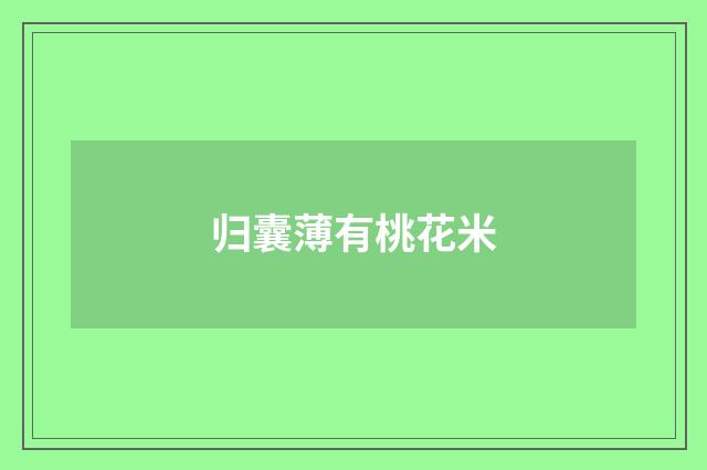 归囊薄有桃花米