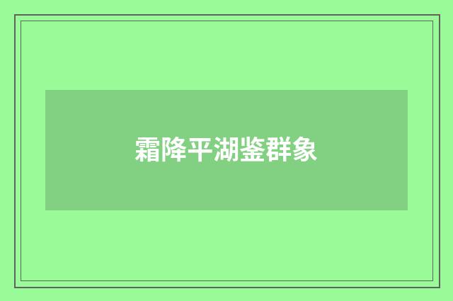 霜降平湖鉴群象