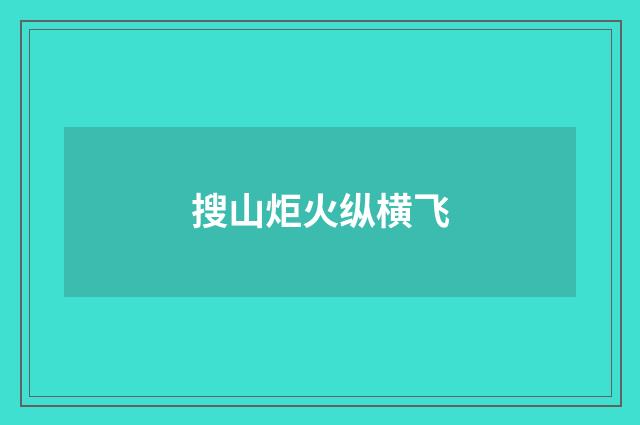 搜山炬火纵横飞