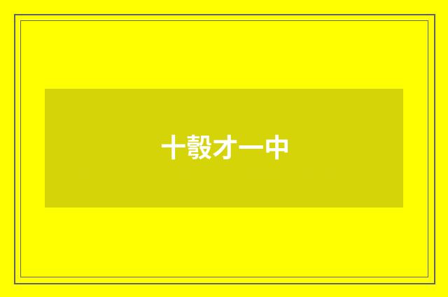 十彀才一中