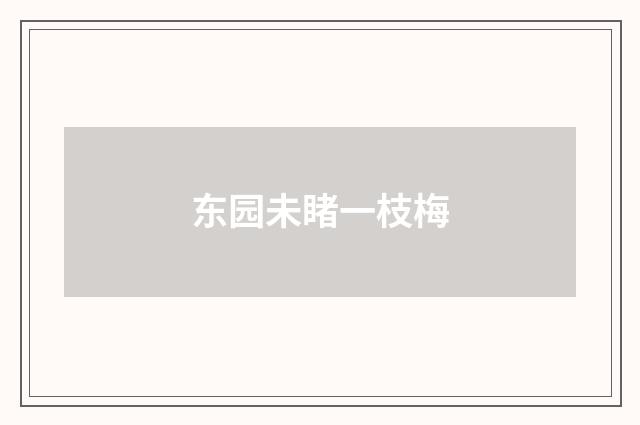 东园未睹一枝梅
