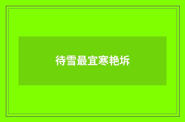 待雪最宜寒艳坼
