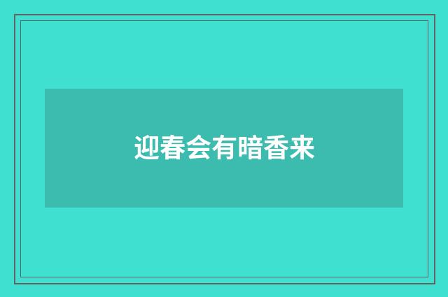 迎春会有暗香来