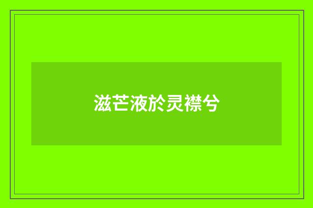 滋芒液於灵襟兮