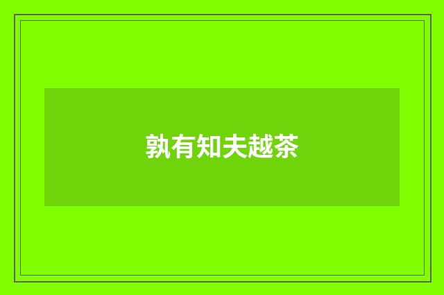 孰有知夫越茶