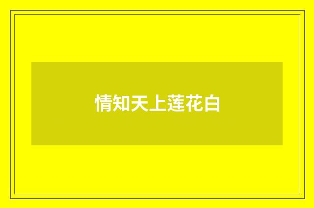 情知天上莲花白