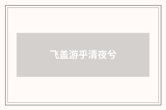 飞盖游乎清夜兮