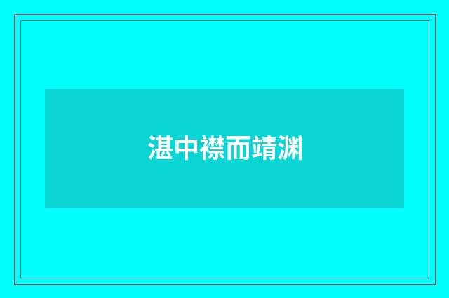 湛中襟而靖渊