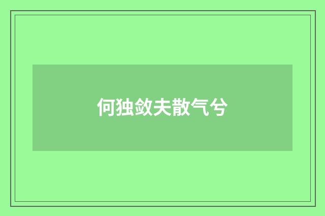 何独敛夫散气兮