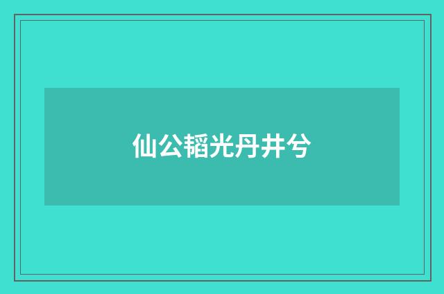 仙公韬光丹井兮