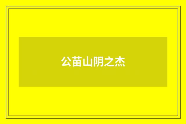 公苗山阴之杰