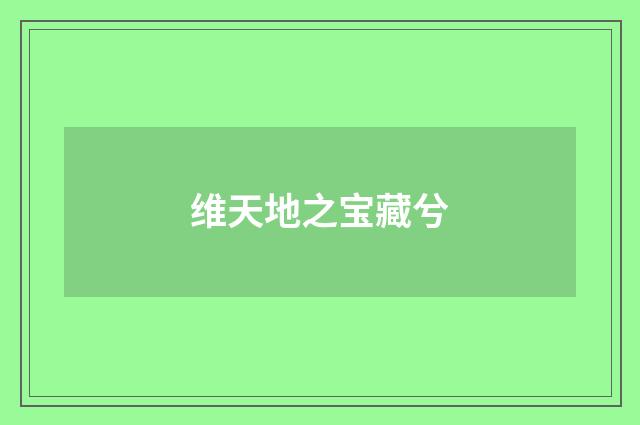 维天地之宝藏兮