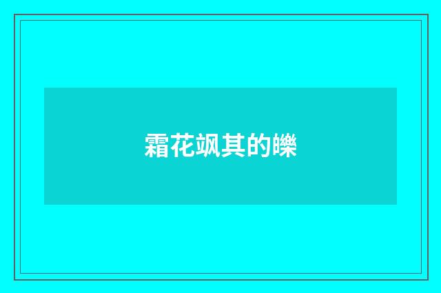 霜花飒其的皪