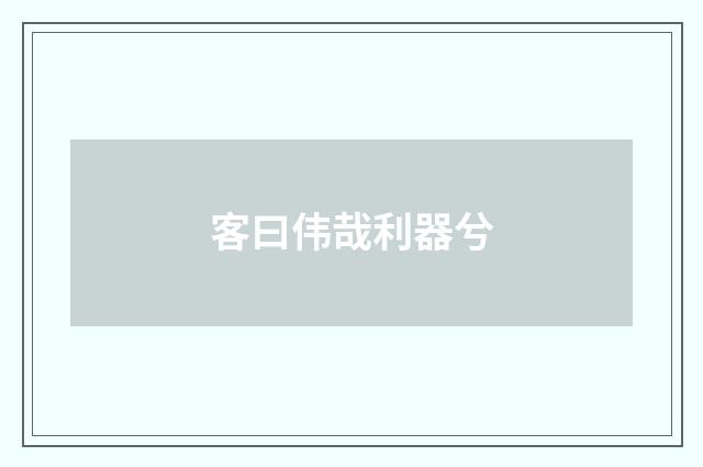 客曰伟哉利器兮