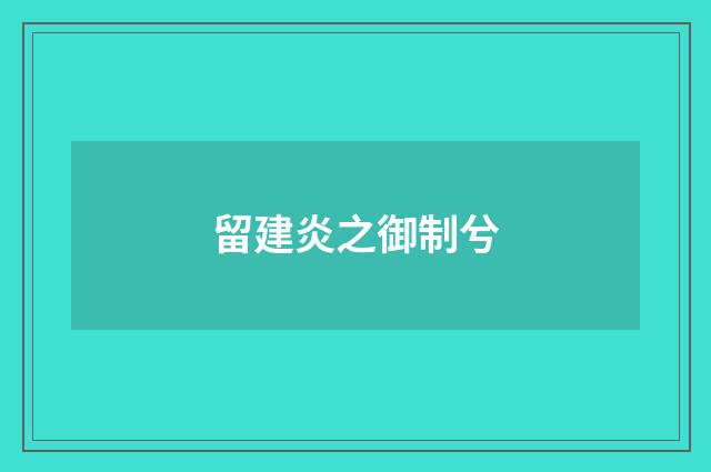 留建炎之御制兮