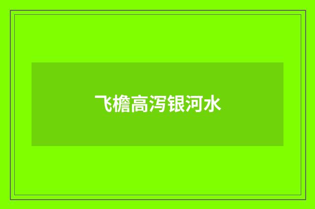 飞檐高泻银河水