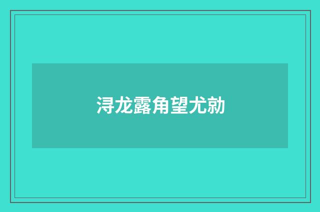 浔龙露角望尤勍