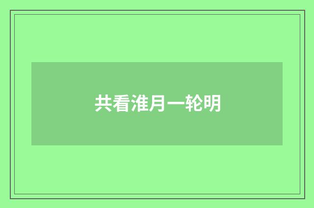 共看淮月一轮明