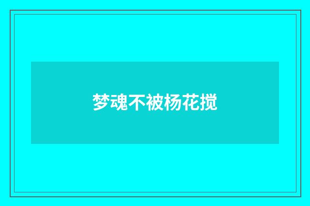 梦魂不被杨花搅