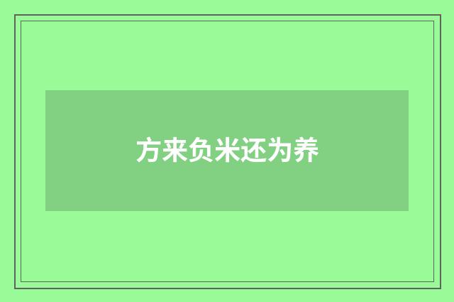 方来负米还为养