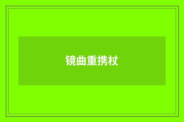 镜曲重携杖