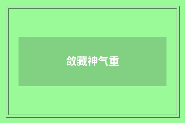 敛藏神气重