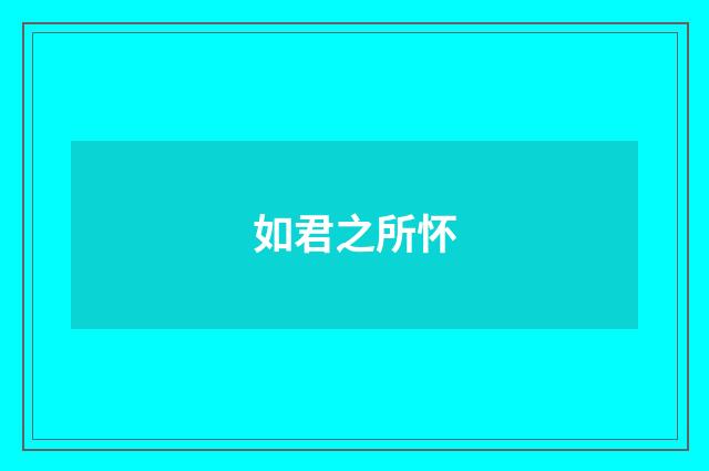 如君之所怀