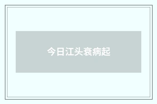 今日江头衰病起