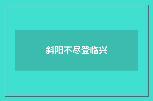 斜阳不尽登临兴