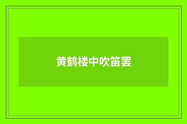 黄鹤楼中吹笛罢