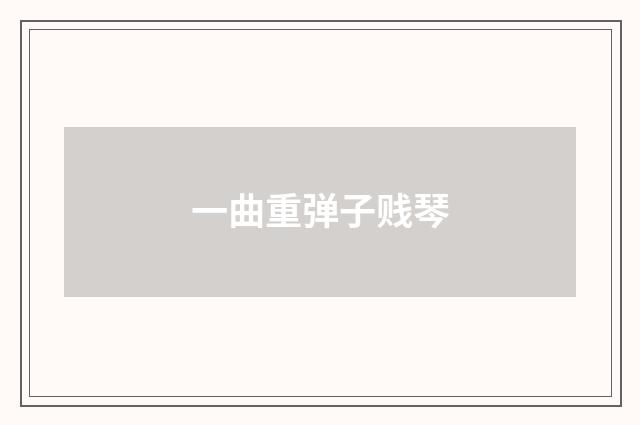 一曲重弹子贱琴