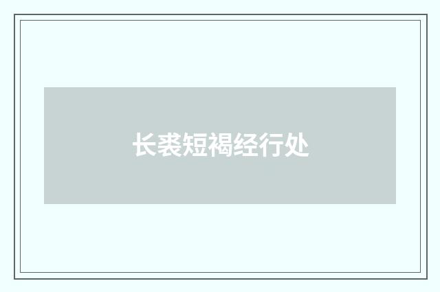 长裘短褐经行处