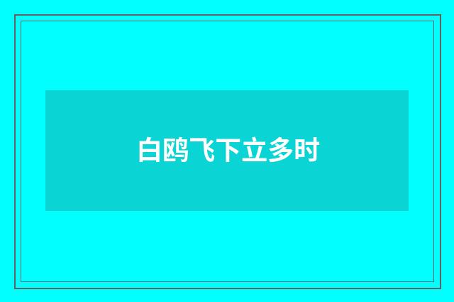 白鸥飞下立多时