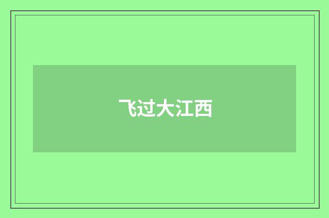 飞过大江西